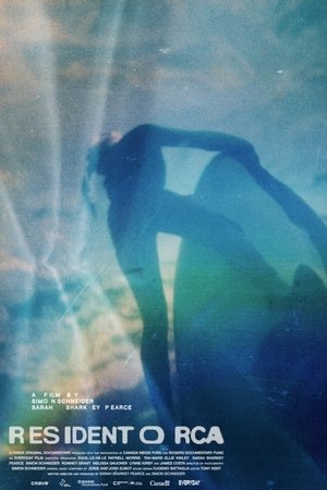 Resident Orca Poster