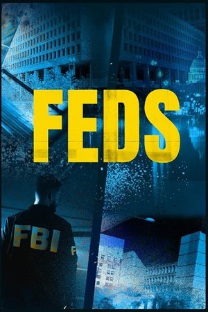 FEDS Poster