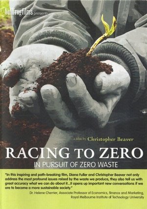Racing To Zero Poster