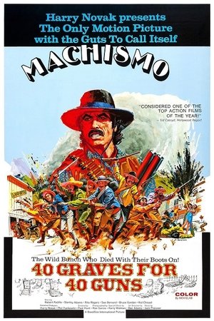 Machismo: 40 Graves for 40 Guns Poster