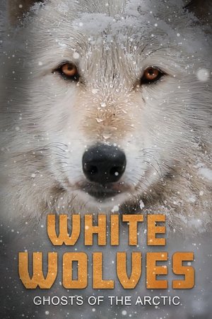 White Wolves: Ghosts of the Arctic Poster