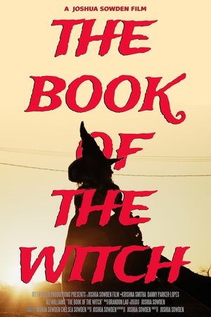 The Book of the Witch Poster