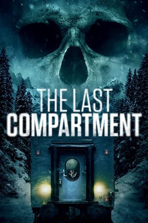 The Last Compartment Poster
