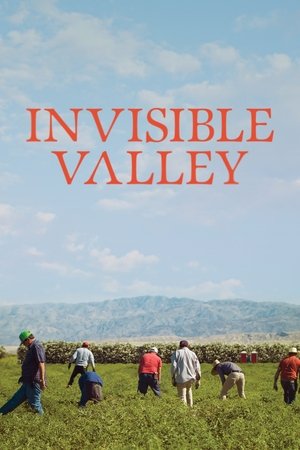 Invisible Valley Poster