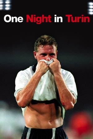 One Night in Turin Poster