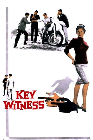 Key Witness Poster
