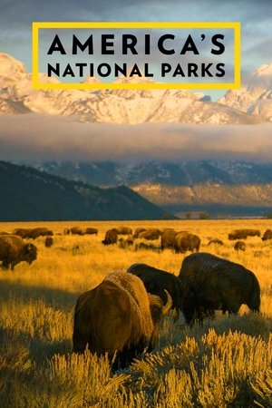 America's National Parks Poster