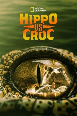 Hippo vs Croc Poster