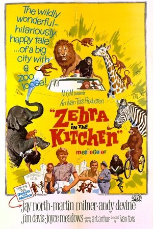 Zebra in the Kitchen Poster
