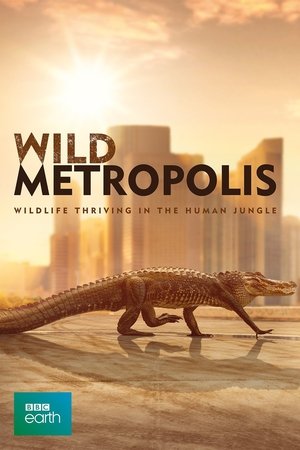 Cities: Nature's New Wild Poster