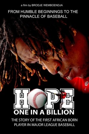 Hope: One in a Billion Poster