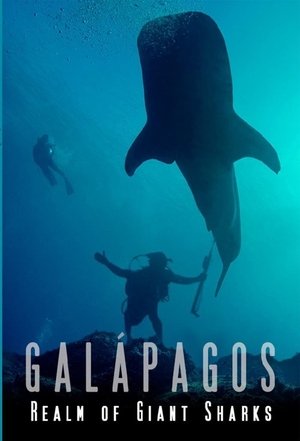 Galapagos Realm Of Giant Sharks Poster