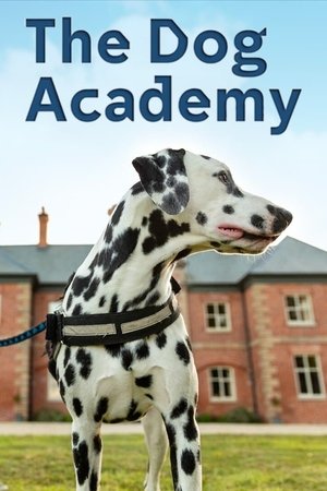 The Dog Academy Poster