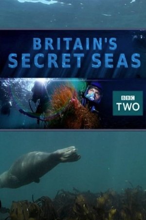 Britain's Secret Seas Poster