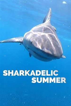 Sharkadelic Summer Poster