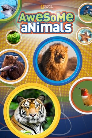Awesome Animals Poster