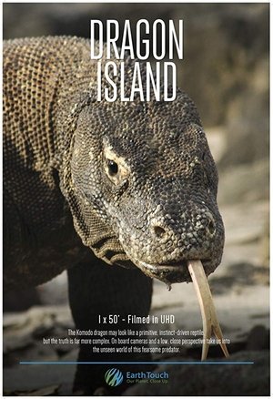 Dragon Island Poster