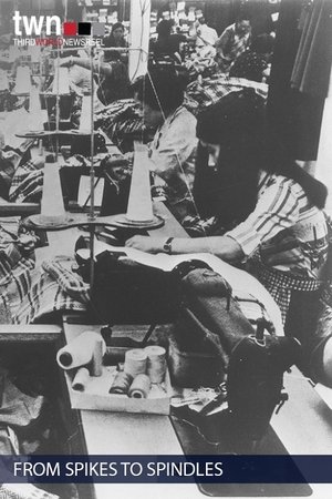 From Spikes to Spindles Poster