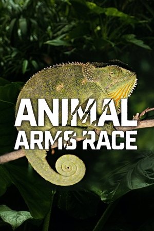 Animal Arms Race Poster
