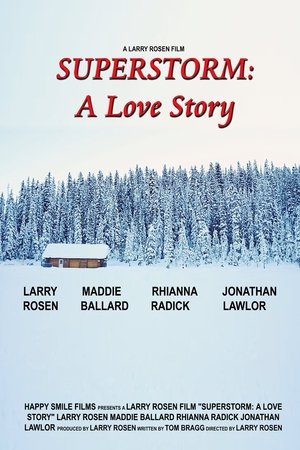 Superstorm: A Love Story Poster