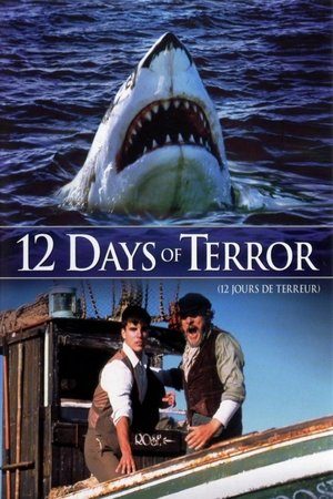 12 Days Of Terror Poster