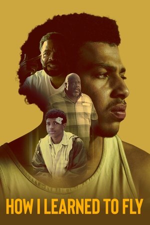 How I Learned to Fly Poster