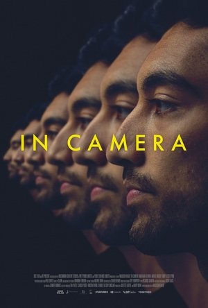 In Camera Poster