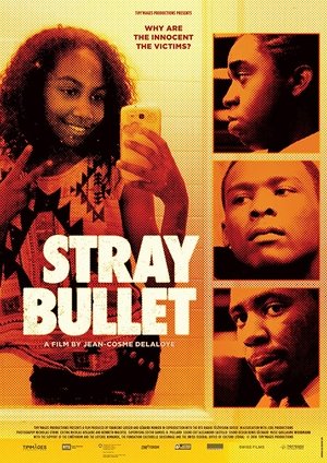 Stray Bullet Poster