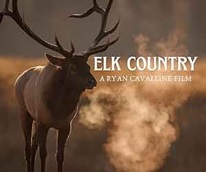 Elk Country Poster